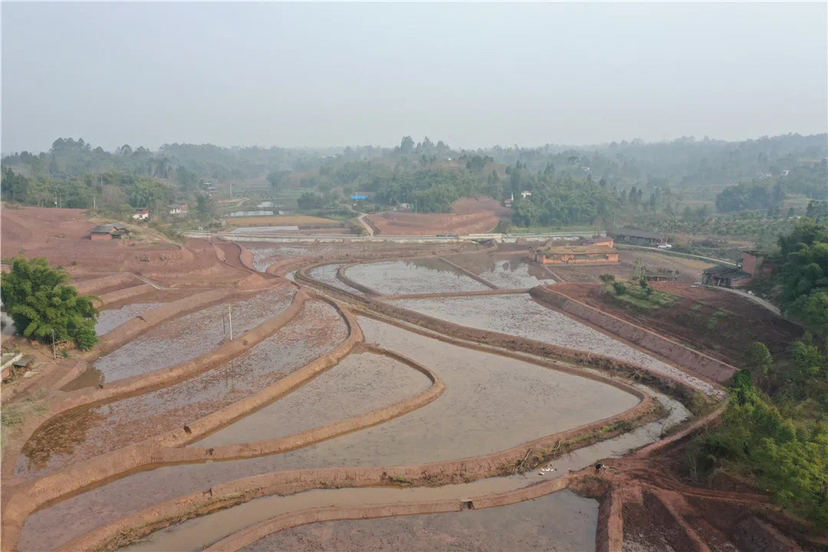 5823B4FE-3131-4292-BD82-4C9D935F8C25