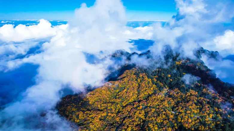 5D8A0DCC-C5EC-4920-91F4-84635FBA0BCF