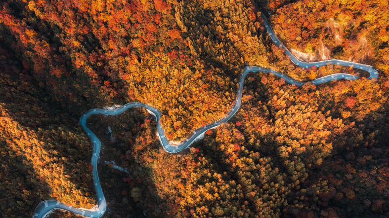 30DFF831-5FA6-4F8E-986B-345DEB0C9B80