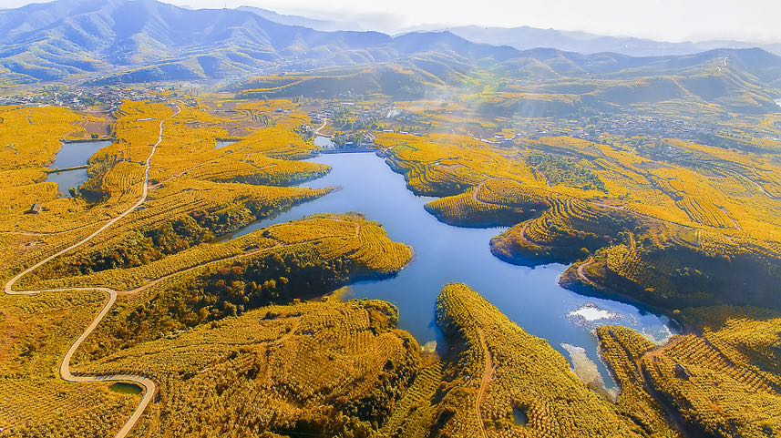 CB640C2B-581A-43A5-9C2F-9F8FF31DC7CE