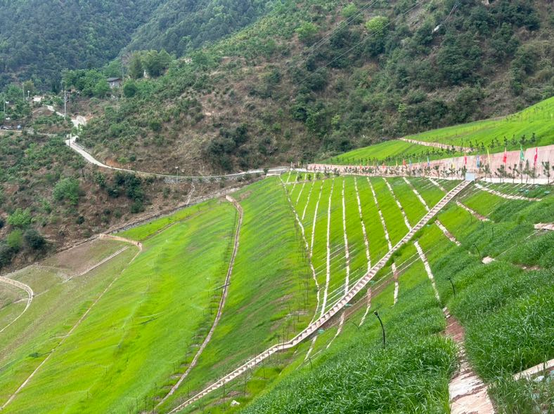 AC3D2162-1E08-4DFE-8C46-5D0AB986D5B7