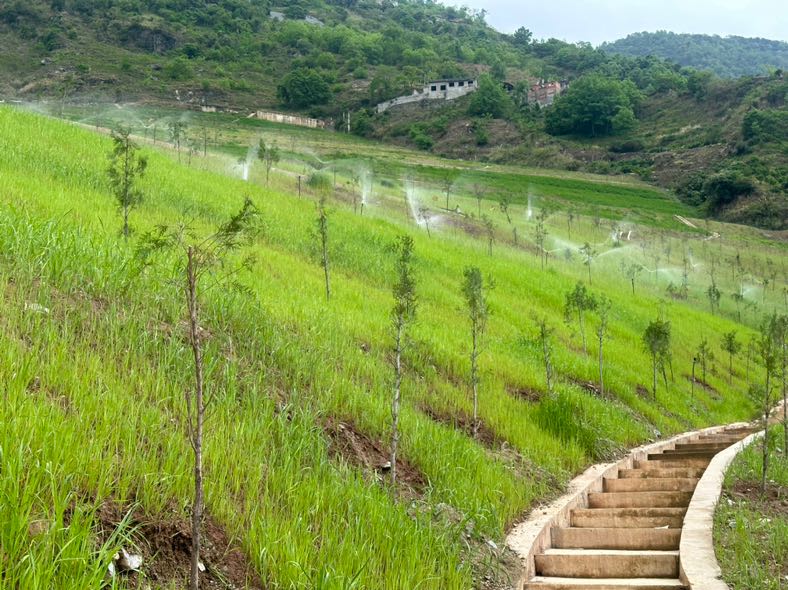 E67EB6BF-7177-40F6-BCAD-2F536E426401