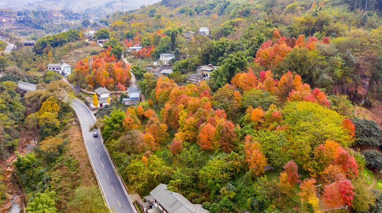 6AA0297A-41F4-4829-BA28-209048877E23