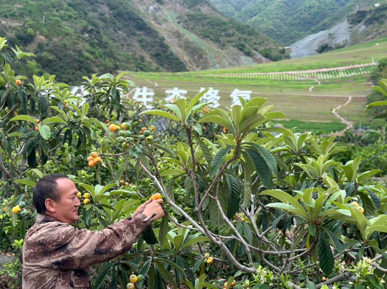 DDFC684E-5E82-484C-8B94-F7F77AD016A5