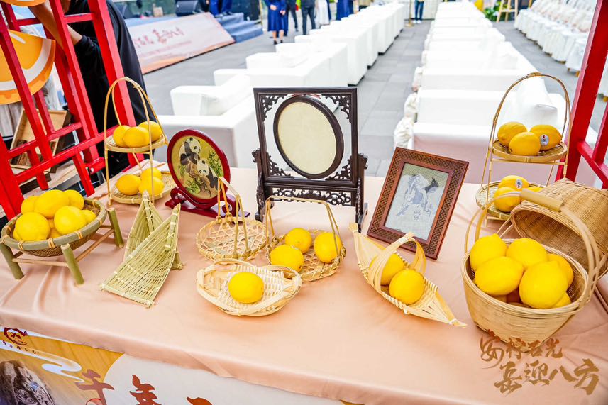 5317DEF8-AB6D-4572-95EC-D5EFF89BEBE1