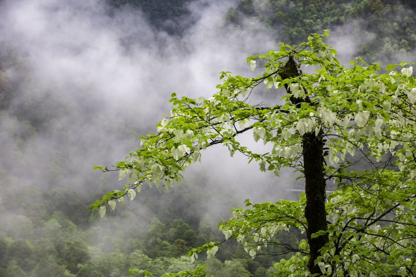 38484B8A-8175-4654-A151-94D4F8A47BF0