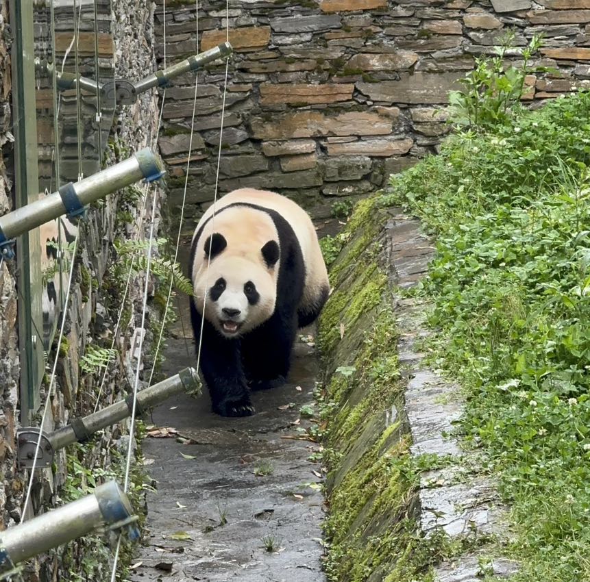 3715DDD5-1673-4097-95C8-498788FF69EF