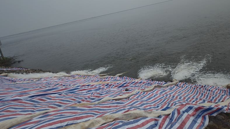 E7ED5E95-5FD6-4EB4-9D5E-D43028C6EE1D