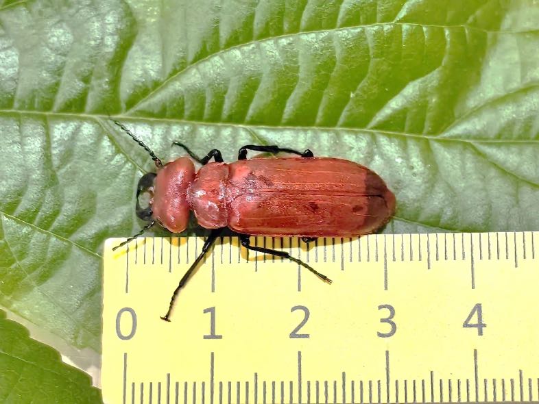 394B7107-DF22-4E43-BFEC-A42147FFC4AC