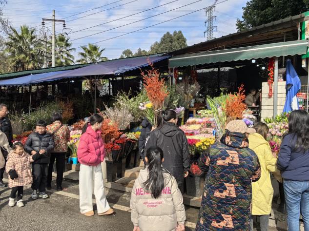 C61D9883-44B7-408A-977B-FD5C600378CD