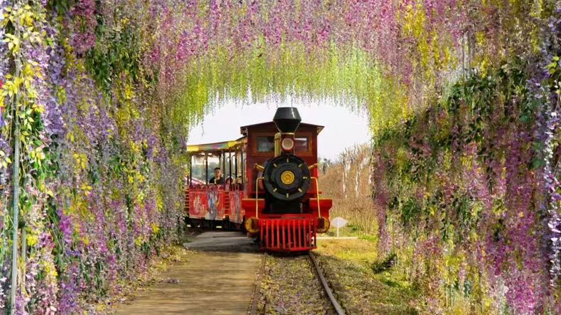 6AAE6CF2-5105-414F-8F30-5C942D6640D5