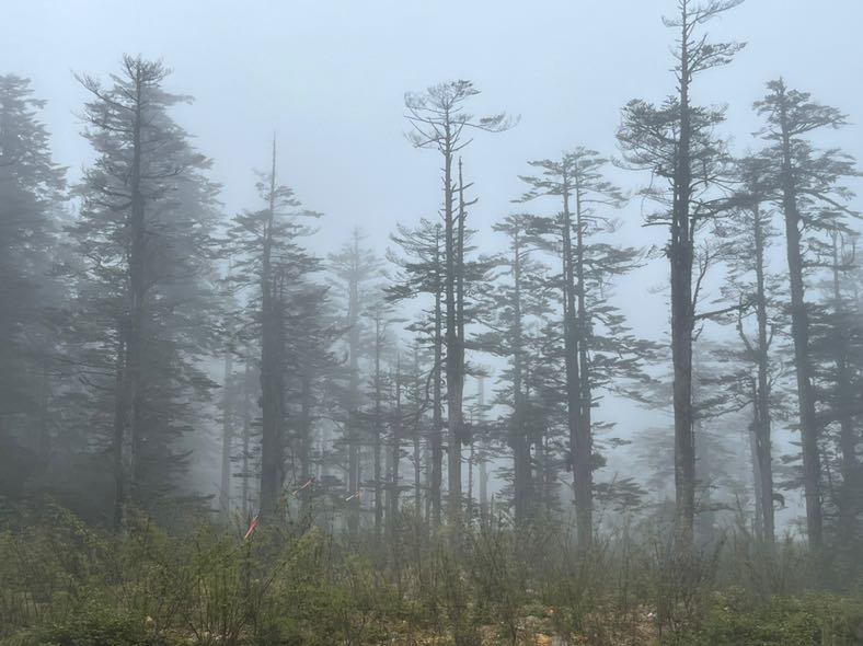 C5CC138E-8E24-4B45-8A5A-919F8ADBA377