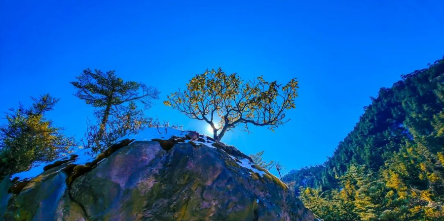 迎冬奥·游四川｜雪落满螺髻，遇见一场冬日绝色！