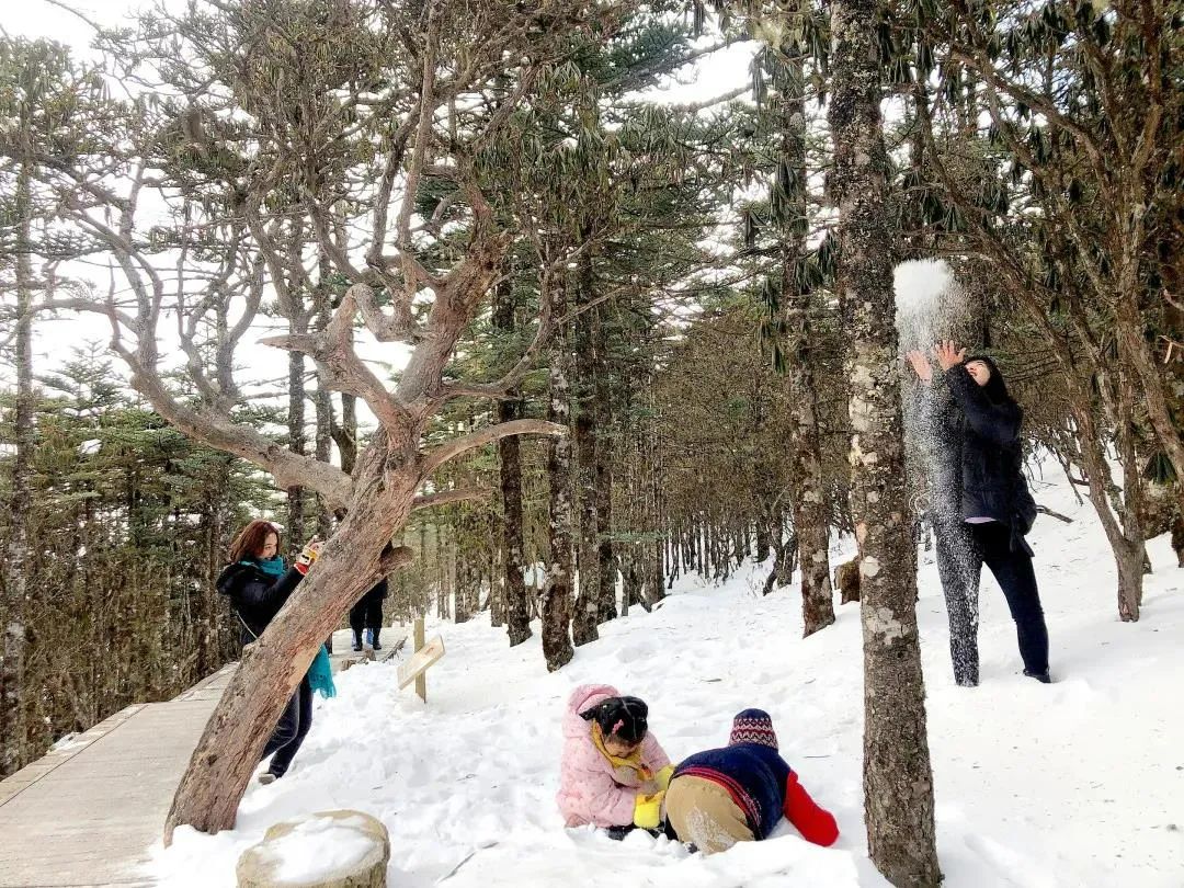 迎冬奥·游四川｜雪落满螺髻，遇见一场冬日绝色！