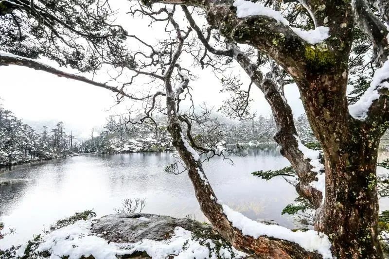 迎冬奥·游四川｜雪落满螺髻，遇见一场冬日绝色！