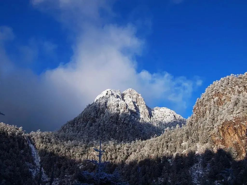 迎冬奥·游四川｜雪落满螺髻，遇见一场冬日绝色！