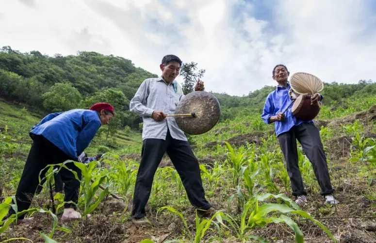 走进天府旅游名村｜千年古道旁的田园牧歌