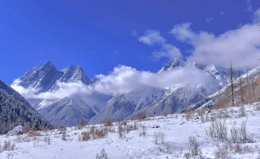 探寻天府旅游名镇 | 勇攀冰峰，去更高处看雪山