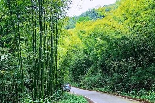 相约天府旅游名宿｜去山野田园，享受理想的度假生活！