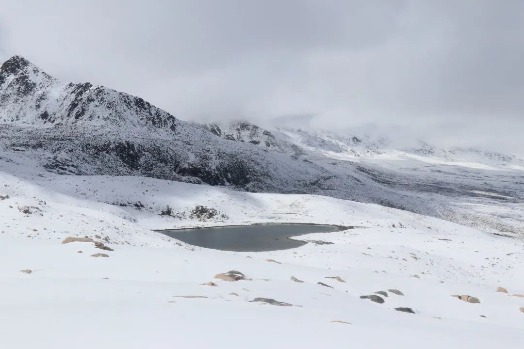 赏冬雪、晒太阳、看蓝冰......一站体验冬日的快乐！