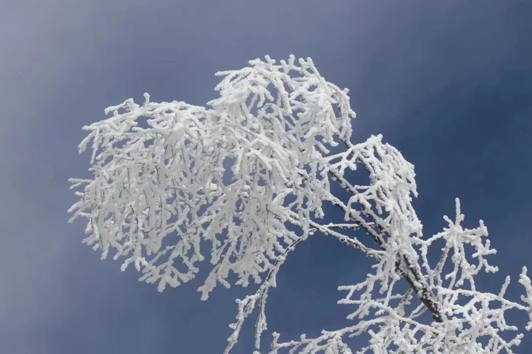 赏冬雪、晒太阳、看蓝冰......一站体验冬日的快乐！