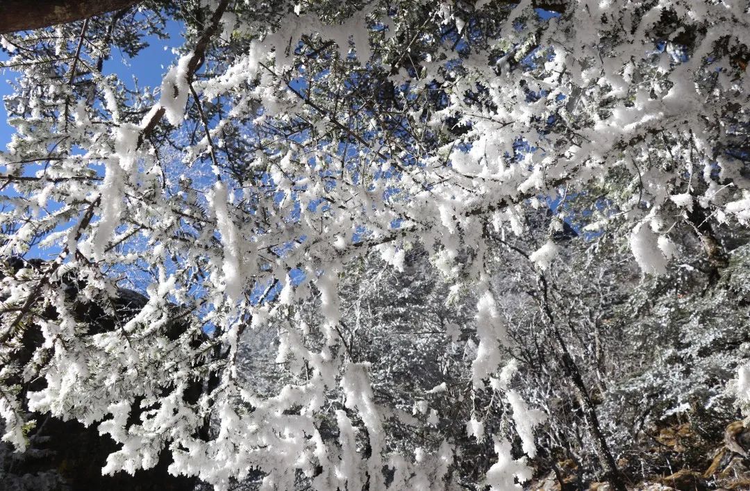 赏冬雪、晒太阳、看蓝冰......一站体验冬日的快乐！