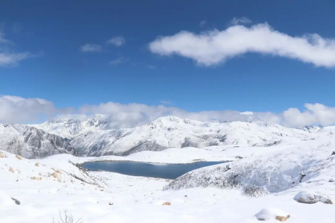 赏冬雪、晒太阳、看蓝冰......一站体验冬日的快乐！
