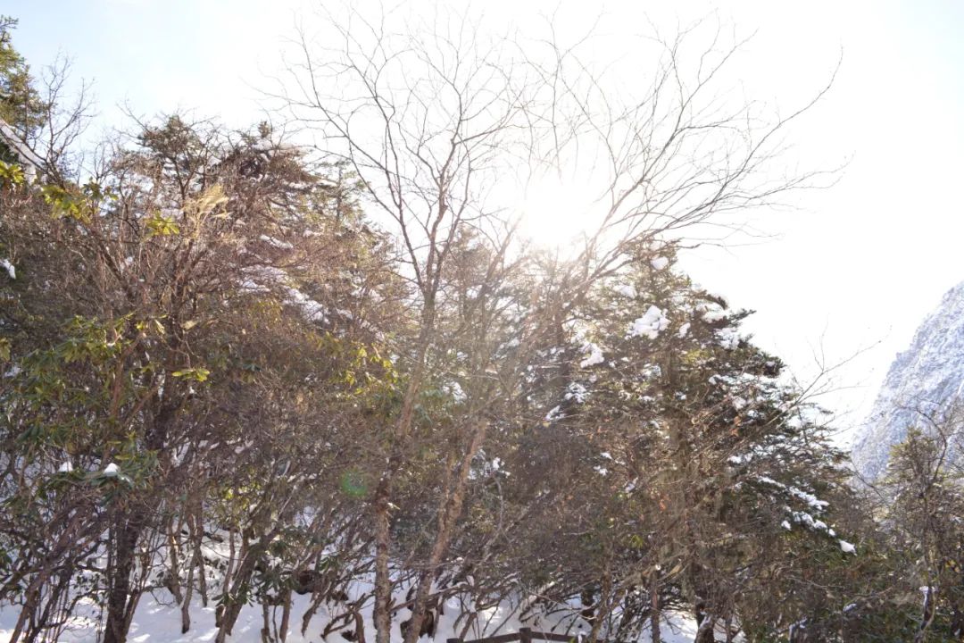 赏冬雪、晒太阳、看蓝冰......一站体验冬日的快乐！