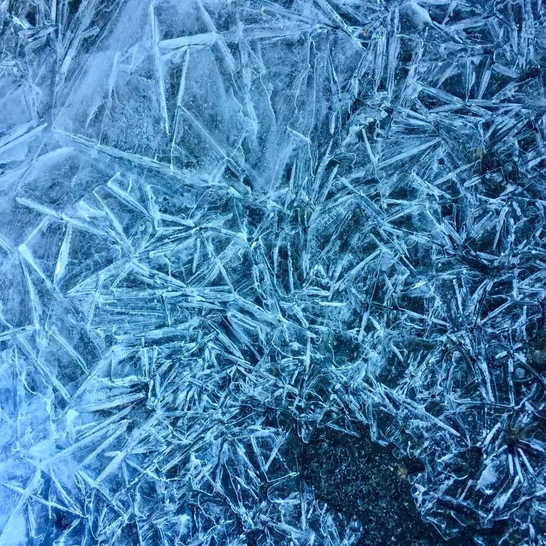 赏冬雪、晒太阳、看蓝冰......一站体验冬日的快乐！