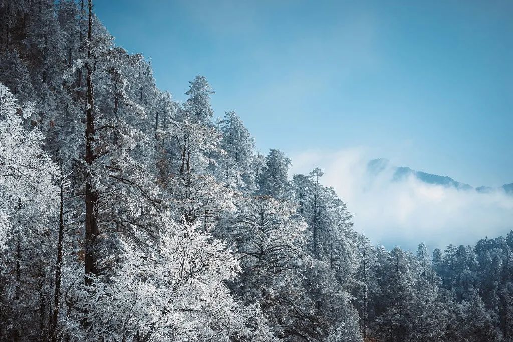 迎冬奥·游四川 | 揽尽冬日胜景，体验一场冰川温泉之旅！