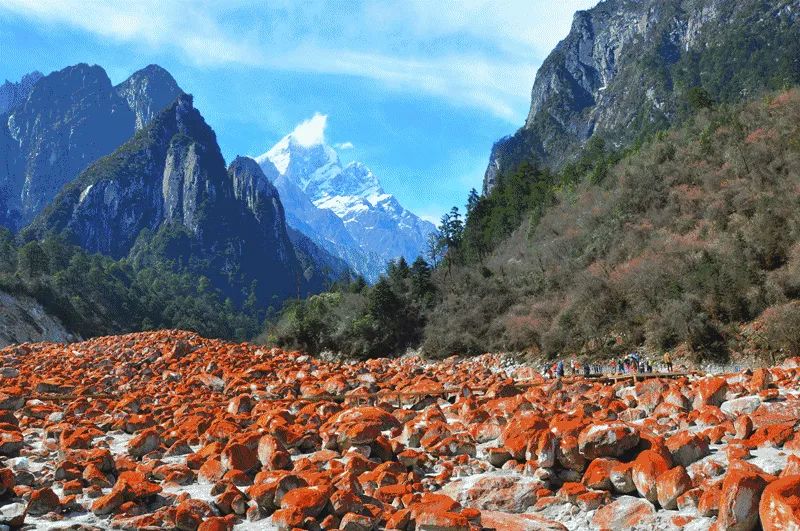 迎冬奥·游四川 | 揽尽冬日胜景，体验一场冰川温泉之旅！