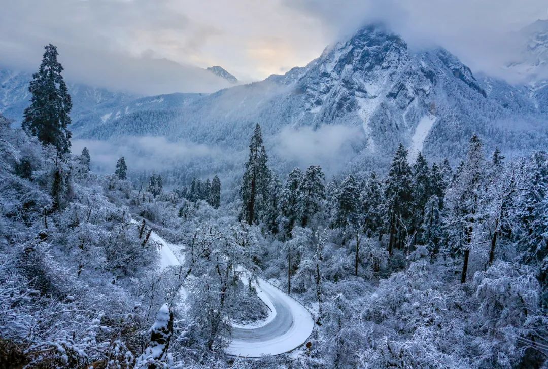 迎冬奥·游四川 | 揽尽冬日胜景，体验一场冰川温泉之旅！