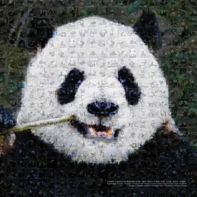 8644ebf81a4c510f4a2e10d9693fcf24d62aa5ff.jpeg