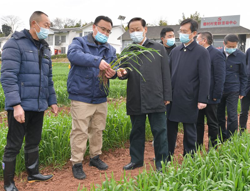 彭清华在眉山内江调研时强调
抓好常态化疫情防控全力冲刺“开门红”
确保“稳”的基础更牢靠“进”的动能更强劲「相关图片」