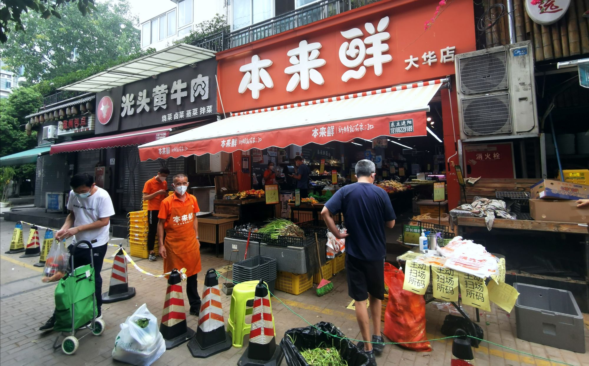 本来鲜