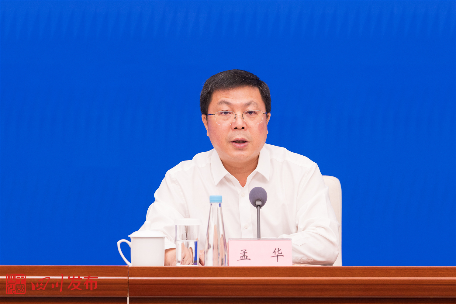 孟华（推荐）.jpg